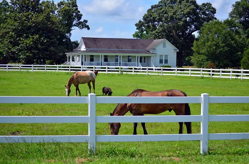 Vinyl Horse Rail Fencing - Monroe, Michigan
