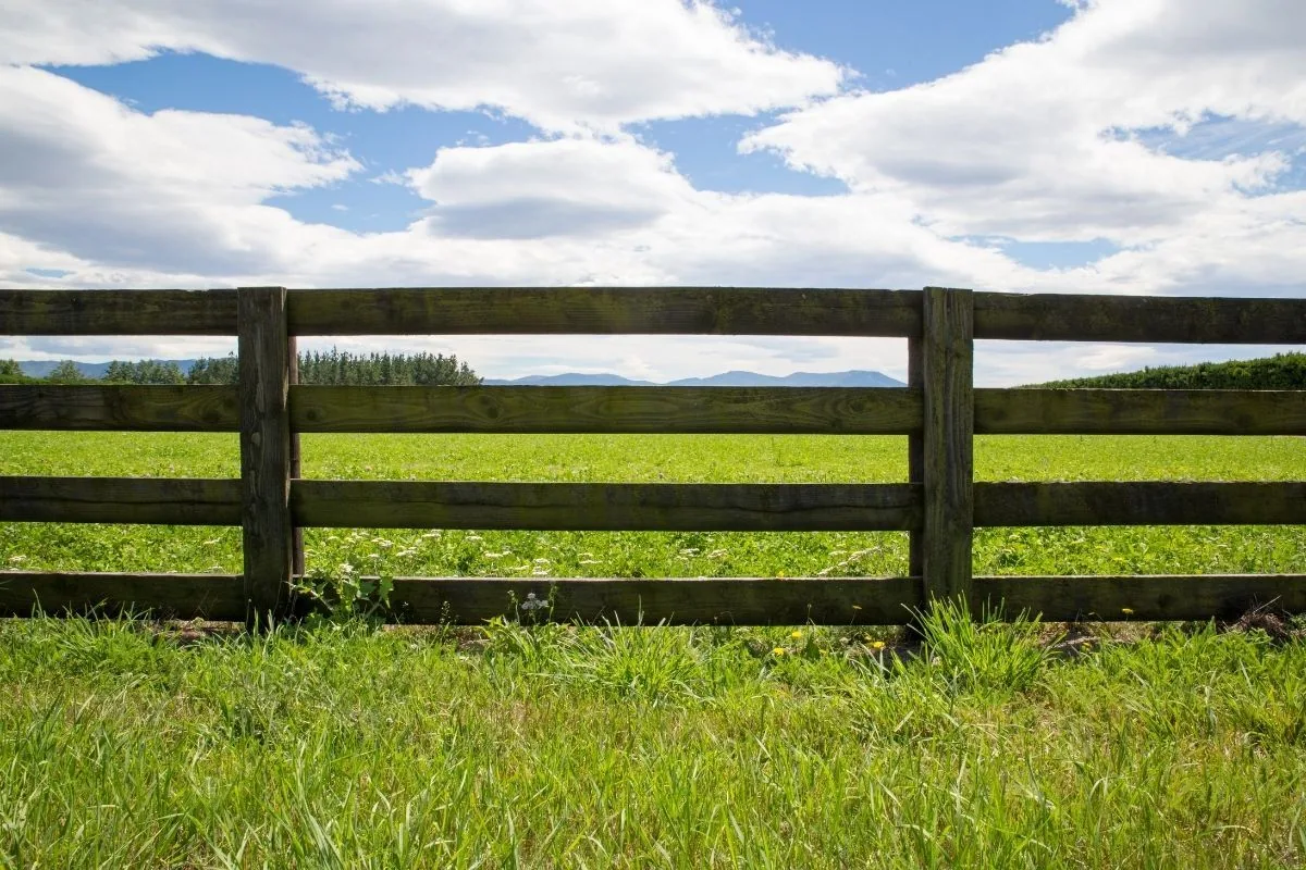 Ranch Rail Fence Installation - Michigan
