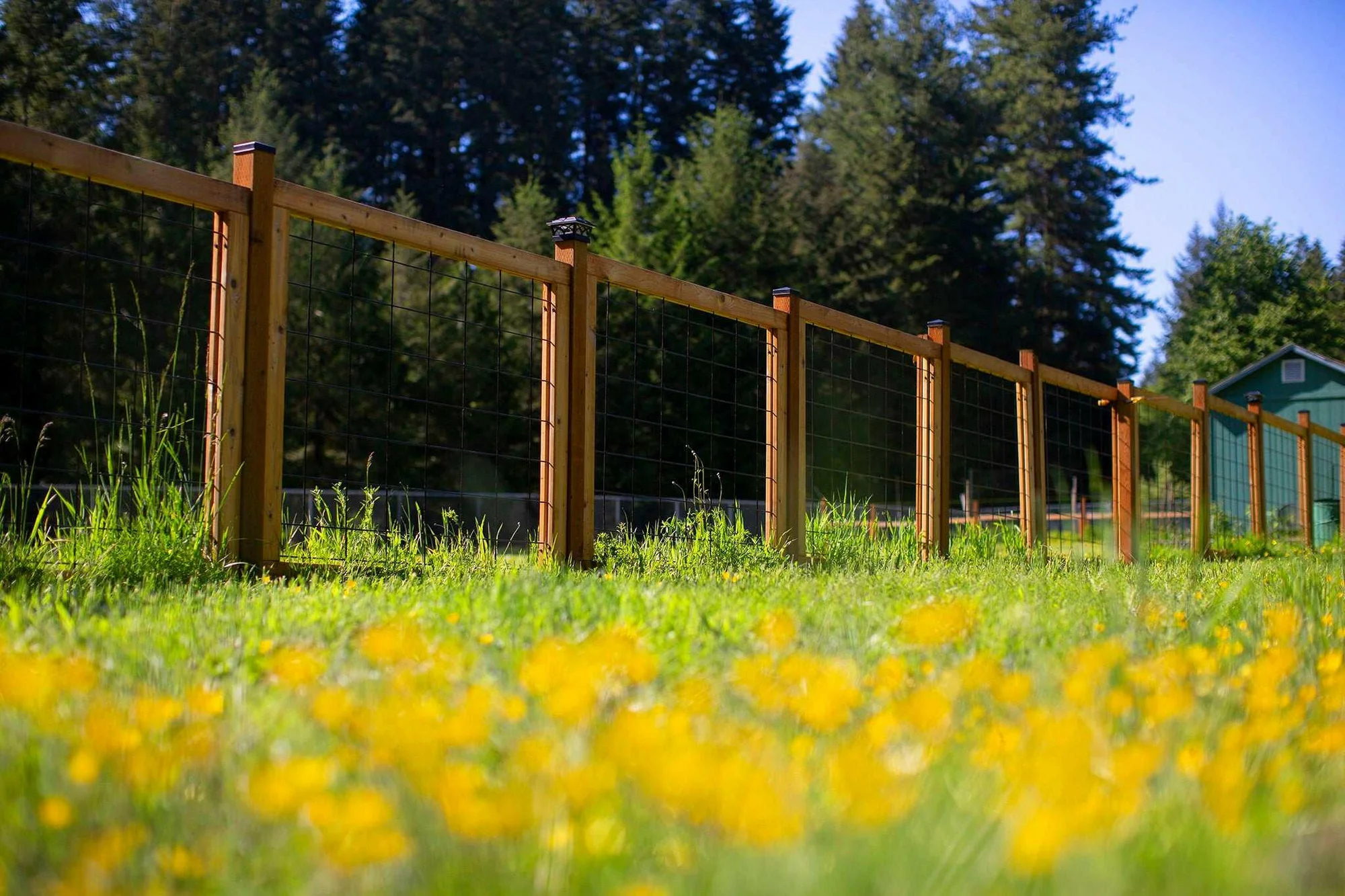 Cedar Hog Wire Garden Fence Installation - Michigan