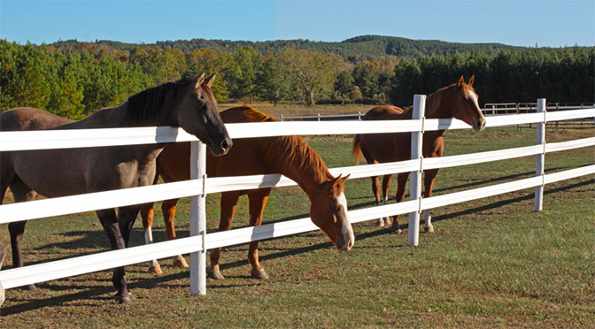 cenflex horse fencing installation woodhaven michigan