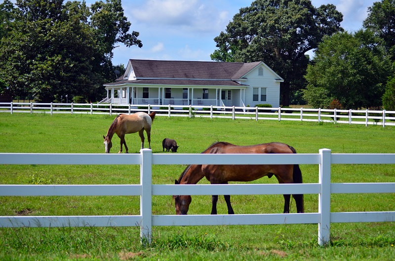 vinyl horse rail fencing monroe michigan